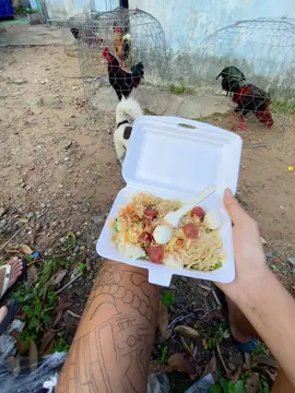 buổi sáng vv☘️☘️🐓🐓#iuthuongdongvat🐓🐓 #xuhuonhtiktok #68H1xinchao 