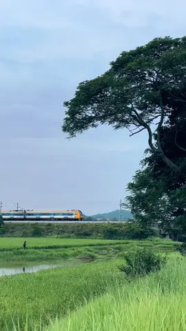 Healing 🚂🌾 #kedah #vibe #japan #keretaapi #sawahpadi 