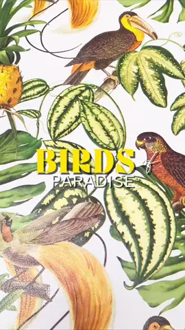 Tropic vibes with birds and lush leaves—perfect for brightening up any room! 🦜🌿 #ezart #ezartwallpapers #wallpapersticker #wallpaperforwalls #wallpapersaesthetic 