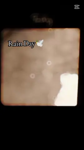 #creatorsearchinsights #rainday#trandingvideo🔥🔥 #unfreezaccount❤️😍💓 #fyp 🕊🥂🍁🫀🤌❤️‍🔥♨️💖🕊