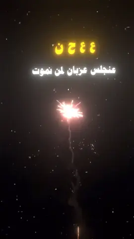 #فيديوهات # عبارات # تصاميم # مسقي # اليمن # اب # تعز # صنعاء # ذمار # المحويت # الحديده # عدن # يافع #