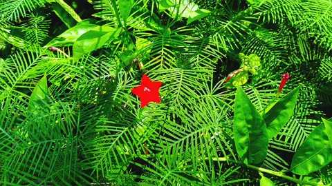 #fyppppppppppppppppppppppp #highlight #foryou #foryoupagereels #millionaire #fyp #views #foryoupage #100kviews #everyone #bagladesh🇧🇩tiktok #bdtiktokofficial #আল্লাহ_ভরসা❤️ #insaallahfyp #abu tayab hujur@For You, all TikTok more see 