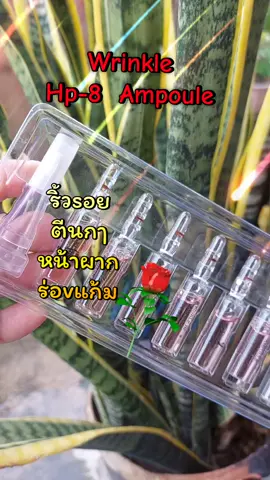 Wrinkle Hp-8 Ampoule #tiktokviral #tiktokshop  #ampoule #serum #ริ้วรอย 