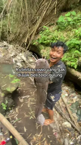 Mentolo tak tapok lele #mancing #telorgulung #infospot 
