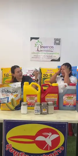 #tiktoklive #livehighlights #ปุ๋ยนกปากห่างดีจริงไม่ได้โม้ #ไทยถาวรการเกษตร 🌾 “ข้าวแตกกอดี ต้นโตไว ใบเขียวทน  !!! ผลผลิตเพิ่มต้อง” ปุ๋ยตรานกปากห่าง สูตร 20-8-8 “  📍สูตรแนะนำสำหรับนาข้าวช่วงแตกกอ อุดมไปด้วยธาตุอาหารหลัก ที่จำเป็น เหมาะสำหรับ นาข้าวทั้งนาดำและนาหว่าน เหมาะกับดิน ทุกชนิด ✅ช่วยเร่งการแตกราก ✅เร่งต้น เร่งแตกกอ  ✅ใบเขียวนาน ✅เร่งการเจริญเติบโต ✅มีเม็ดดำอะมิโน ช่วยฟื้นฟูหน้าดิน ปรับสมดุลและเพิ่มอาหารในดิน  👍ใช้แล้ว ผลผลิตดี เห็นผลจริง…ดีจริงไม่ได้โม้ !!! ☎️พร้อมจำหน่ายแล้ว ที่ตัวแทนทั่วประเทศ 📩 ติดต่อสอบถามข้อมูลได้ที่ แชทอินบอกซ์ (Inbox) คลิ๊ก : m.me/nokpakhang แอดไลน์ (Line) คลิ๊ก : https://bit.ly/3gW8mHi #ปุ๋ยนกปา#ปุ๋ยนกปากห่างพ#ปุ๋ยยางพารา##AGreen##เอกรีน #ปุ๋ยแพงย#ราคาปุ๋ยc#RampaTecป#ปุ๋ยแรมป้าเทคเ#ปุ๋ยพรีเมียม่#SOP##เร่งผลภ#ปุ๋ยคุณภาพน#ปุ๋ยตรานกปากห่างา#ปุ๋ยนกปากห่างม#ไม่ได้โม้า#สินค้าจากเยอรมันนพร้อมพืช#บํารุงดินพร้อมพืช #ปุ๋ยเคมีร#ปุ๋ยอินทรีย์า#ปุ๋ยนาข้าว #ปุ๋ยอ้อยโ#ปุ๋ยข้าวโพดร#ปุ๋ยอินทรีย์เคมีํ#ปุ๋ยมันสําปะหลังุ#กากชา #ปุ๋ยปาล์ม #ปุ๋ยมัน