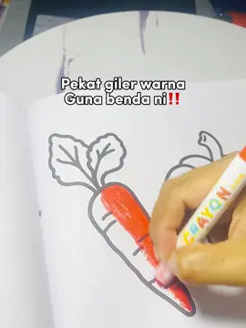 Senang nak blend warna guna Silky crayon macm ni,warna pun jadi cantik#silkycrayon #crayon #mewarna #penselwarna #penselwarnamurah 