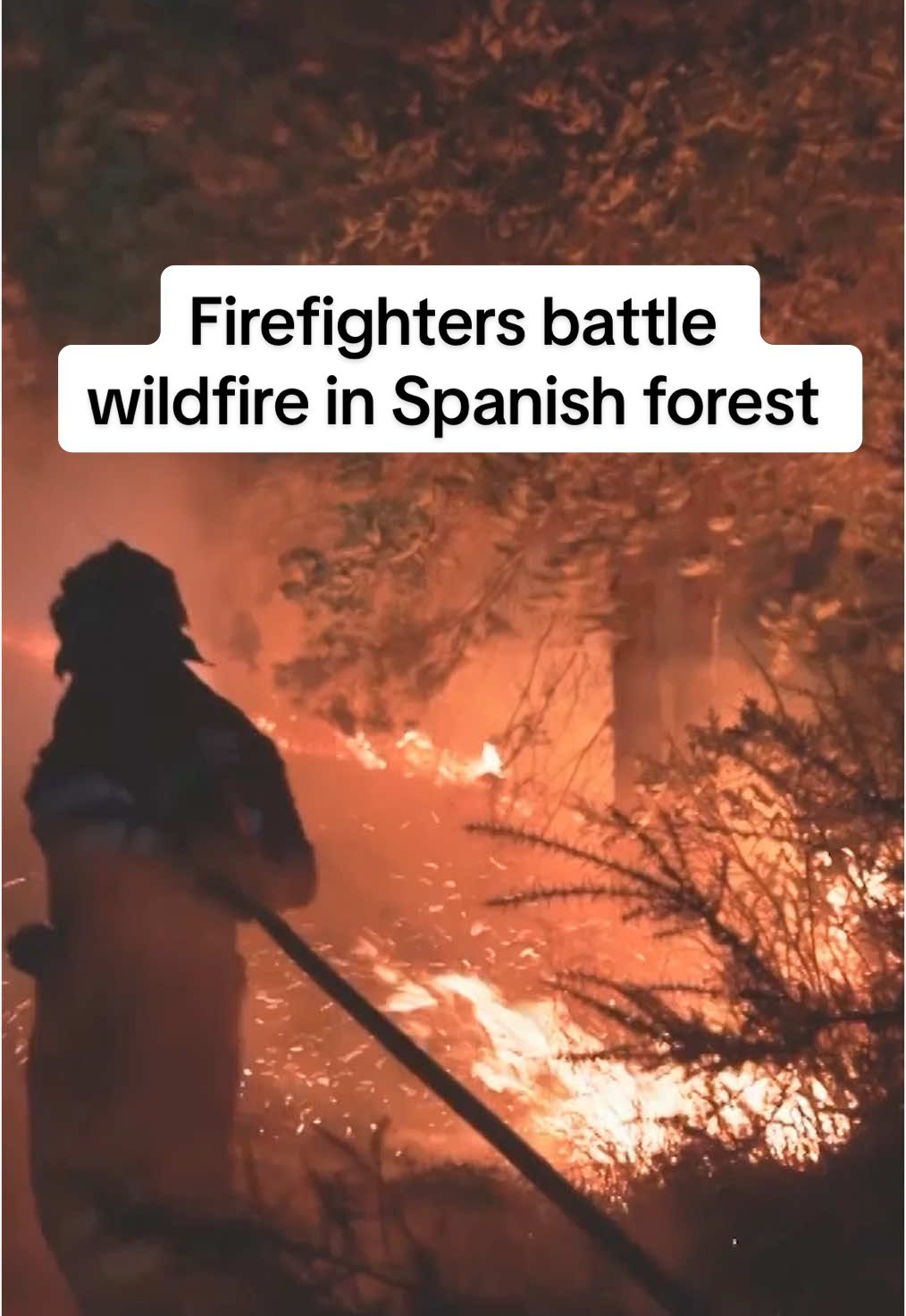 Spanish military emergency unit firefighters battled a blaze overnight in Gondulfes, Ourense province, in north-west Spain, as wildfires fueled by a severe heatwave continued to devastate large swaths of the country. #spain #wildfire #firefighter #heatwave