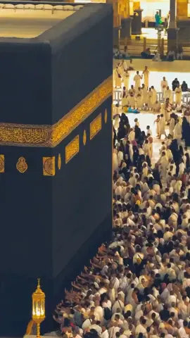 InshaAllah, believing that every difficulty is followed by ease #alhamdulillah❤️ #Allah #islamic_video #UK #muslimah 