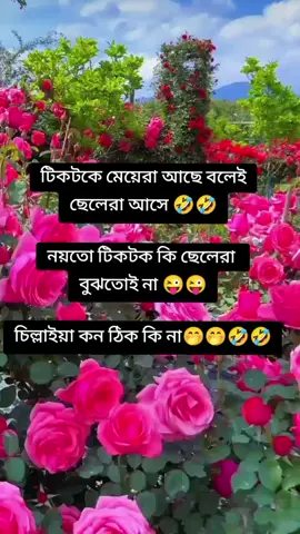 টিকটকে মেয়েরা আছে বলেই ছেলেরা আসে. ……...😜😜🤣🤣🤣