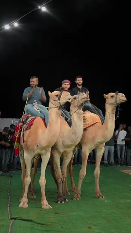 ما شاء الله