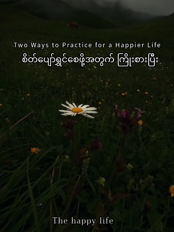 Two ways to practice for happier life. #creatorsearchinsights #knowledgesharing #Thehappylife #deepthoughts #foryou 