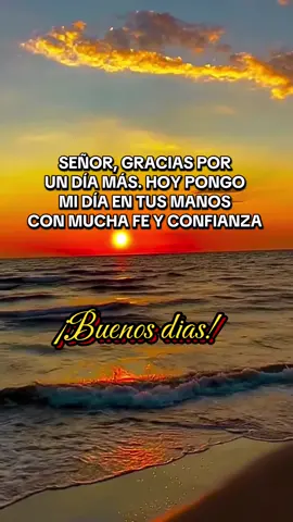 Bonito día 🙏🙌🏻🌅☀️✨👏🏻🫶🏻#sigueme_para_mas_videos_asi #buenosdias #paratiiiiiiiiiiiiiiiiiiiiiiiiiiiiiii #viral #bendiciones🌹❤️🙌🏻🙌🏻 