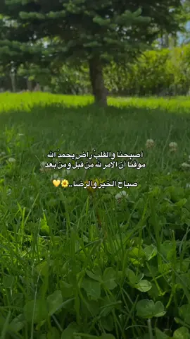 أصبحنا والقلبُ راضٍ يحمدُ الله موقنًا أن الامر لله مِن قبل ومن بعد صباح الخير والرضا..🌼💛#صباح_الخير #تصويري #اقتباسات #ستوريات_انستا_دينيه🤍 #صباحيات