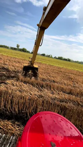 lúa đồng tháp 12k 1kg🤣#xecuocmientay #sumitomo 