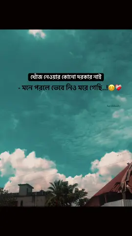 Part 250 | খোঁজ নেওয়ার দরকার নাই মনে পরলে ভেবে নিয়ো মরে গেছি.😊❤️‍🩹#creatorsearchinsights #fyppppppppppppppppppppppp #foryou #vairal #foryoupage @TikTok Bangladesh 