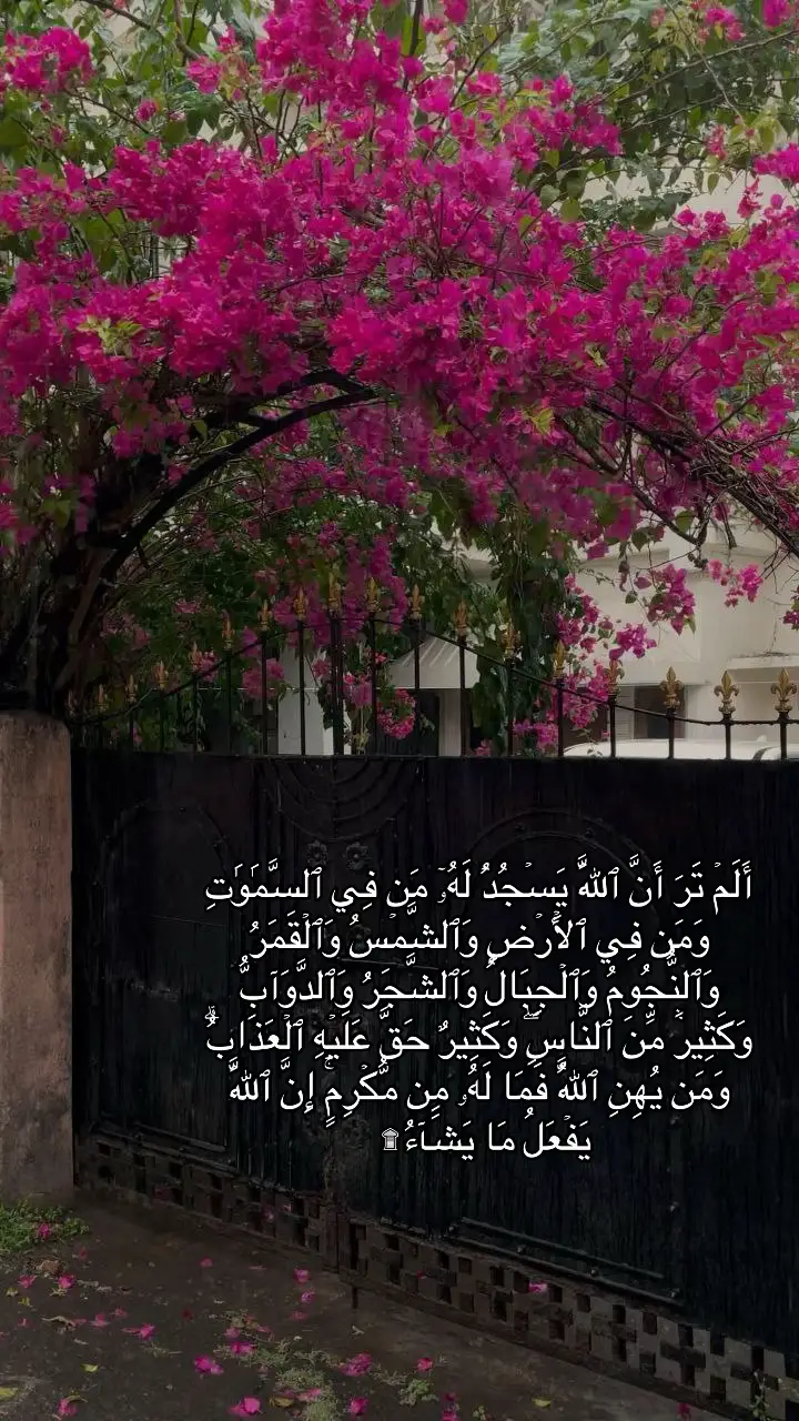 #قران_كريم #سورة_الحج #المنشاوي #تلاوة #ليطمئن_قلبك 