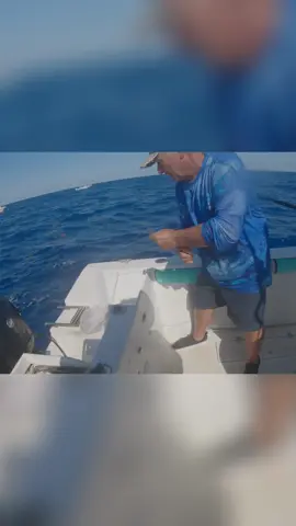 Pesca Extrema: Domando Snappers y Chicharros en Acción! ¡Salvador, el domador de snappers, en acción! Estamos pescando snappers y chicharros con carnada especial. ¡Mira cómo los capturamos y preparamos para la suegra! Montamos un chicharrito y estiró! #pesca #snapper #chicharro #pescaextrema #domadordesnappers #carnada #mar #fishing #pesca deportiva #aventuradepesca