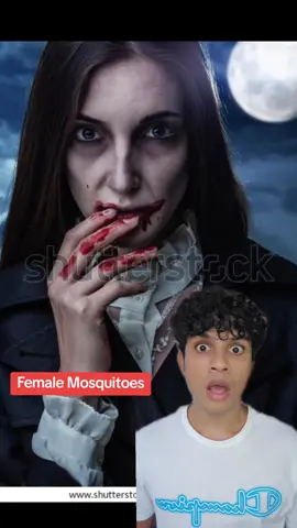 ගැහැණු අය කොහෙත් ඔහොම තමා 🦟😂😂 #mosquito #sandalu #මදුරුවා #ගෑනු #learnenglish 