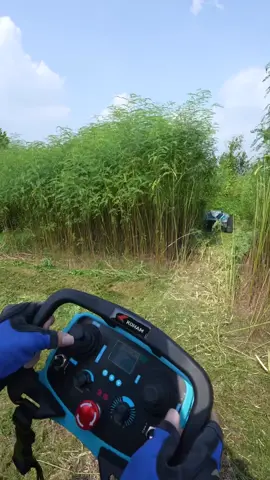 Say goodbye to traditional and embrace intelligence - a new blue ocean for lawn mower wholesale!#❤🔥kohammowers #kohamgardentool #B2B #OEM #viralvideo 