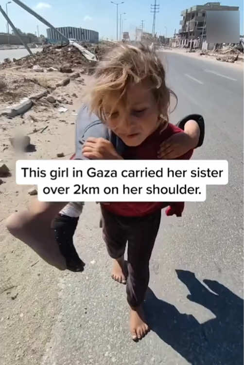They are just children.#Gaza #freepalestine #kids #peace #palestina #foryou #Love 
