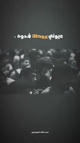 . #سيد_فاقد_الموسوي #حسينية_علي_بن_موسى_الرضا 