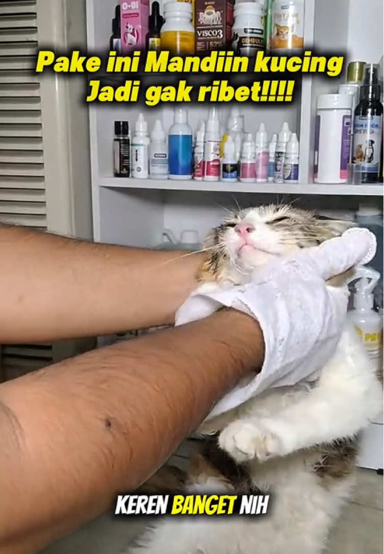 Udah gak ribet lagi deh masalah bersihin kucing, pakai sarung tangan tisu basah ini lebih praktis dan efektif bersihin kucing kalian tanpa drama cakar cakaran deh.  #sarungtangankucing #sarungtanganmandikucing #sarungtangantissubasah 