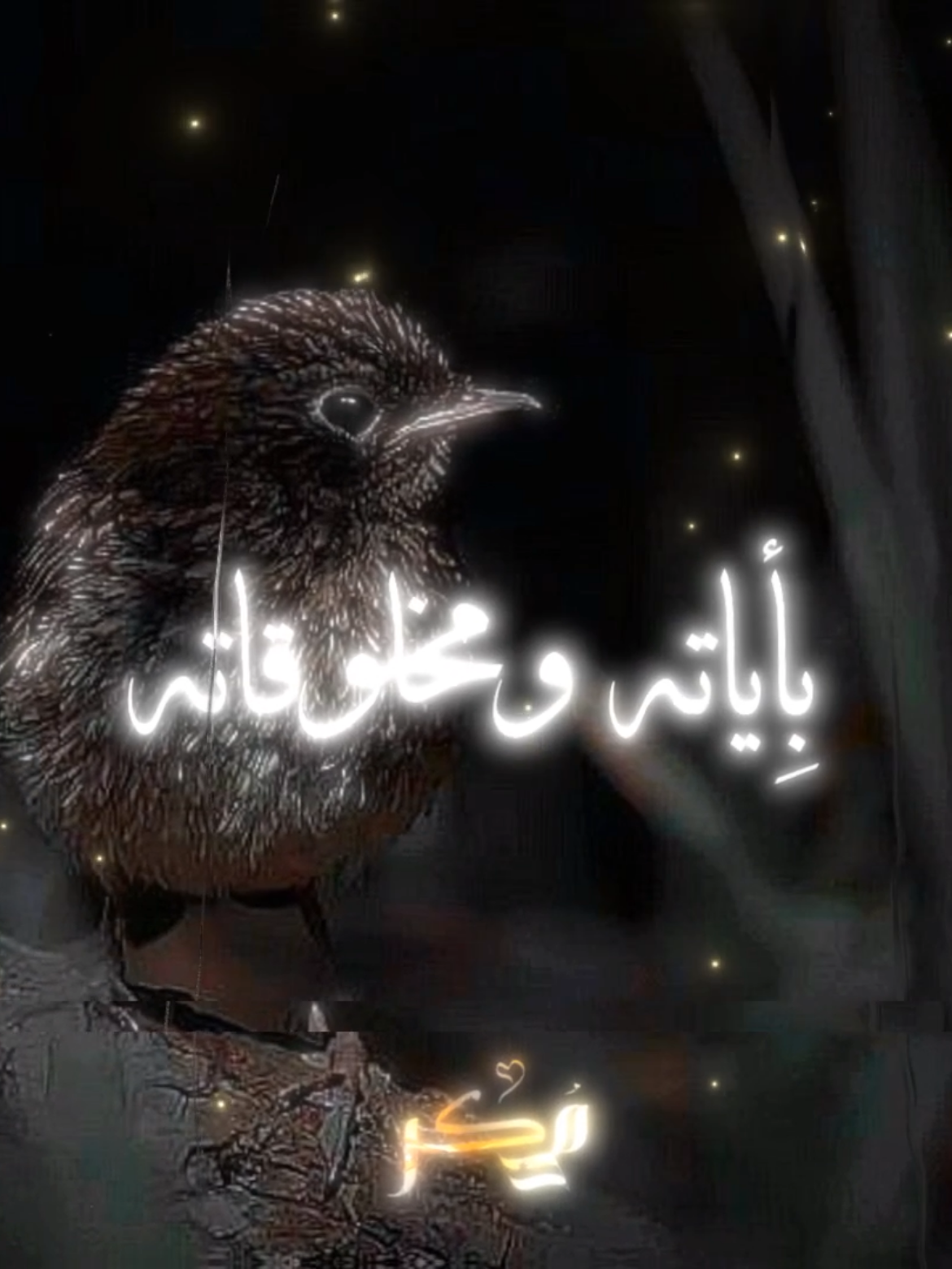 كيف عرفت ربك؟ القارئ:خالدالعلمي  #الله  #خالد_العلمي  #كتاب_الداء_والدواء  #عبدالرزاق_البدر  #صلوا_على_رسول_الله 