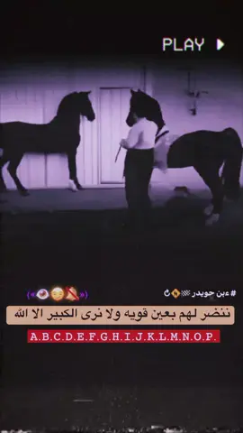 صلب خلك صلب ويخاف المعاديك😉 .  .  .  #تصميمي #ءبن_حويدر #خيل_وخياله🐎 #عبارات #تصميم_فيديوهات🎶🎤🎬 