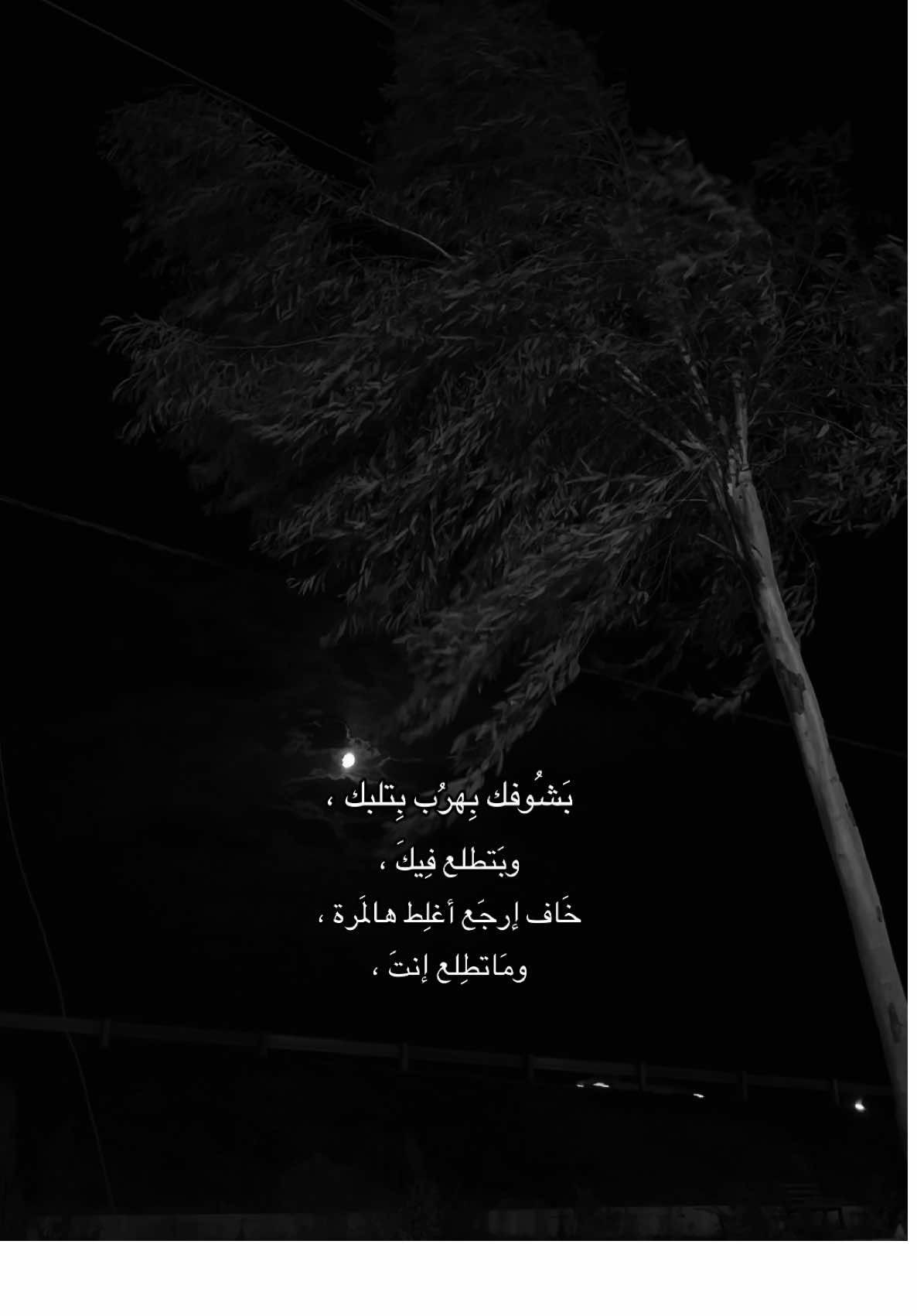 بشوفك بهرب بتلبك ؟ #قوالب_تيك_توك_جديده #قوالب_تيك_توك #قالب_تيك_توك #قالب_تيك_توك_جديد 