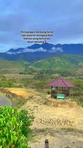 Tetap kuat dan bertahan💪🏼#wiamabaliem🌺 #wamenapapua #papuapegunungan🏔 #tiktokviral 
