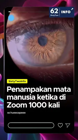 Jika bola mata di-zoom 1000 kali, Anda akan melihat dunia mikroskopis yang sangat terperinci dan kompleks. Permukaan kornea akan terlihat bertekstur, dengan pembuluh darah halus di sklera membentuk pola seperti jaring. Iris akan menunjukkan detail serat-serat kolagen dan otot-otot halus yang unik, mirip sidik jari. Di dalam, lensa mata akan menampakkan lapisan-lapisan konsentris, sementara retina akan menjadi 