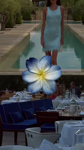 Summer palette #thatgirlaesthetic #luxurylifestyle #outfitinspo #chanel #ibiza 