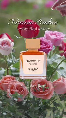 A delicate cloud of elegance Narceine Poudrée wraps you in a soft, powdery embrace that lingers like a whispered secret✨🌸 #pendorascents #pendorascentsid #pendorascentsindonesia #parfumtimteng #parfumdubai 