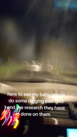 #catmom #STRAYCATS #helpingcats #catlife #fypシ゚viral 