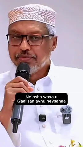 Diinteena Wax ka qaalisan malahan #unitedkingdom #unitedstates #videoviral #views #fyp 