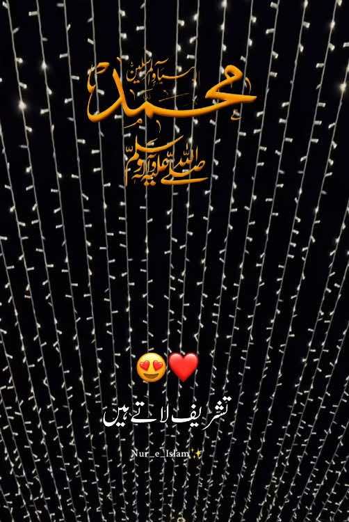 سناہے آپ ہرعاشق کے گھر تشریف لاتے ہے  میرےگھرمیں بھی ہوجائے چراغا یارسول اللّٰہ ﷺ 🥰 #12rabi_ul_awal #12rabi_ul_awal_mubarak #1500salajashneidmulidunnabi #tajdaraykthmnabowatzindabad #IslamicVideo 