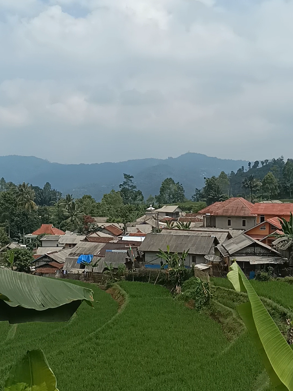 Kampung Sukamulya atau lebih dikenal dengan nama Kampung Gunung Bongkok ini merupakan salah Kampung yang berada di perbatasan Kabupaten Lebak Provinsi Banten. Kampung ini berada di Selatan Banten yang berbatasan langsung dengan Kabupaten Sukabumi Jawa Barat. 