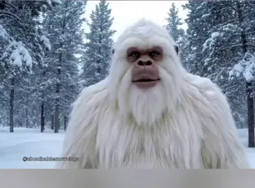 🤣🤣🤣
