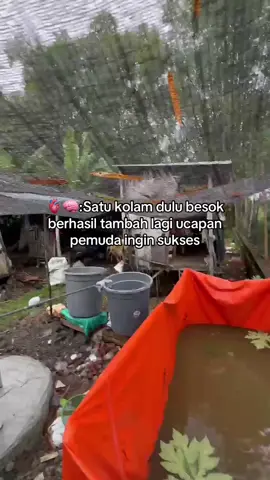 Bismillah dulu🤲🏻✨ #petanilele #ikanlele #petanimuda #bismillah #lelekonsumsi 