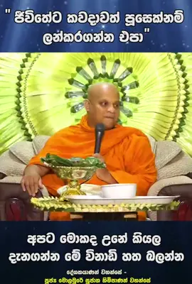 #creatorsearchinsights #Budubana  #මොලමුරේසුජාතස්වාමීන්වහන්සේ #සිරිසුමනදේවගිරිපුරාණමහාවිහාරය #දම්දෙරණ 