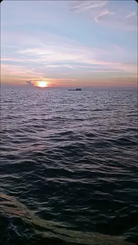 #ankrantau 