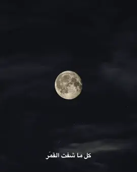 ضمّيني 🥹🤍 #صالح_اليامي #ضميني #explore @صالح اليامي🎙 