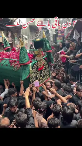 ۴ دن باقی شہادت امام حسن ؀اندرون موچی گیٹ لاہور #safar_ul_muzafar #foryoupageofficiall #trending #viralmyvideo #foryoupageofficially♥️♥️♥️ #viralvideo🙏🙏🙏 #mochi_gate_lahore 