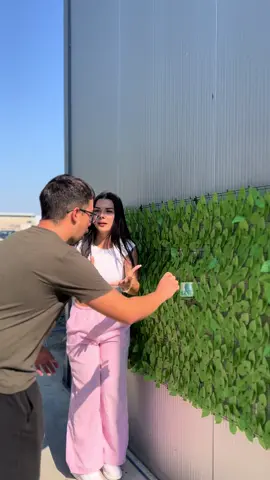 💥𝐎𝐟𝐞𝐫𝐭ë 𝐉𝐚𝐯𝐨𝐫𝐞!💥 🌿 Gardh me gjethe artificiale 1 x 3m🌿 ➡ Gardh i përshtatshëm për përdorim në ambiente të ndryshme. ➡ Mundëson dekorim dhe rritje privatësie në ambientet tuaja të shtëpisë apo biznesit. ➡ Gjethet artificiale janë të ndërtuara me material rezistent PVC. ➡ Ngjyrë jeshile e hapur ➡ Përmasat: 100x300cm. 👉Kodi: 24740 🏷Çmimi: 999 Lekë Porosit tani!🛒 📩 Na kontaktoni për çdo pyetje në DM . 📞 +355 69 331 0003 #buzistore #buzi #buzial #buzistoreal #gardhartificial #dekorballkoni #ambient #shqiperi #albania