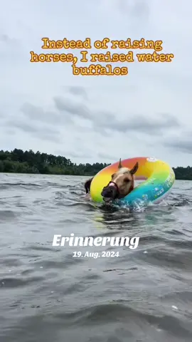 #erinnerung 