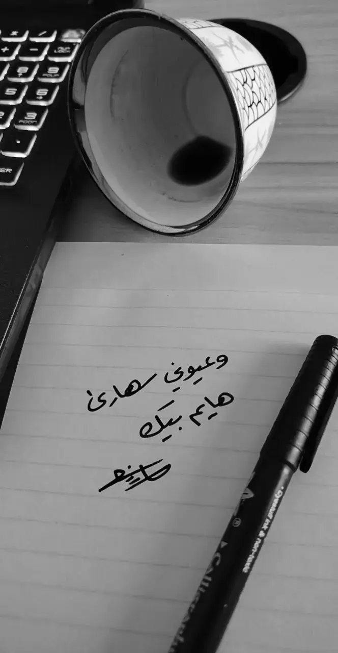 وعيوني سهارى هايم بيك... #اكسبلورexplore #اكسبلور  #الشعب_الصيني_ماله_حل😂😂  #fyp #foryou 