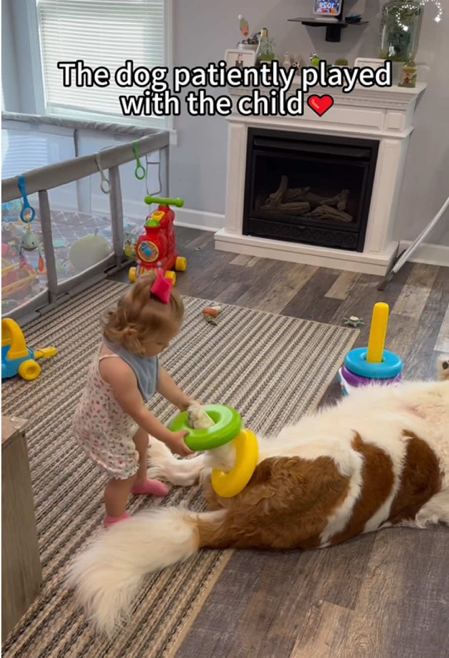 Cute baby play with a dog 🐶😂❤️#fyp #dog #tiktok #fyp #playtime #baby 