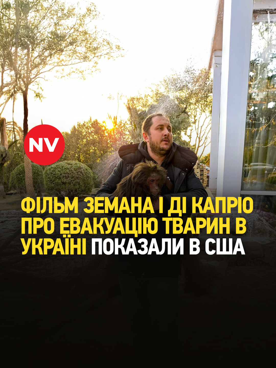 Американський режисер Джошуа Земан створив глибоко емоційний документальний фільм Checkpoint Zoo — про тих, хто рятував тварин з-під обстрілів у Харкові на початку повномасштабної війни. Історія почалася зі світлини шимпанзе Чі-Чі в The New York Times, а переросла у повноцінне кіно завдяки унікальним кадрам евакуації харківського Екопарку. Серед вибухів і хаосу війни — люди, які ризикуючи власним життям, рятують левів, кенгуру, шимпанзе. Звичайні герої, що показали незвичайну силу співчуття. Фільм, підтриманий Леонардо Ді Капріо, вже зворушив серця глядачів у США, а восени відбудеться українська прем’єра. #nv #україна #війнавукраїні #героямслава #перемогазанами💙💛💪