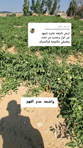 الرد على @mahmoudabdelaziz760 واضح عدم الفهم  😂😂#المزرعه #farmlife #المغتربين #المزرعه_السعيدة #تقسيم_زراعي 
