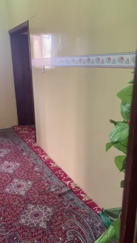 #الديره 